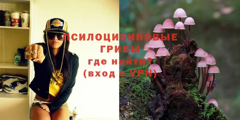 Галлюциногенные грибы Magic Shrooms  hydra рабочий сайт  Нижнекамск 